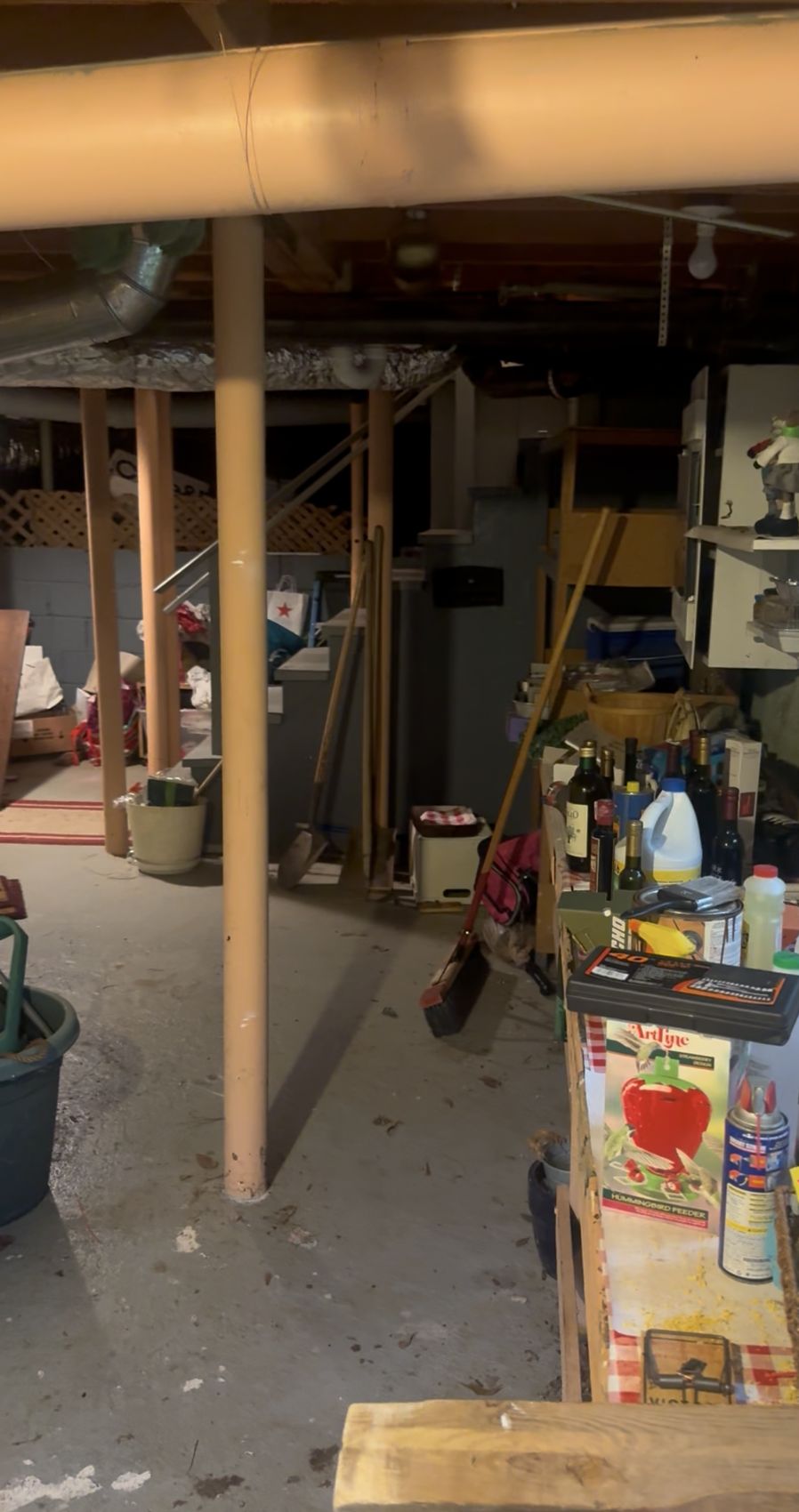Cluttered basement before cleanout